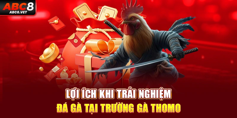 Lợi ích khi trải nghiệm đá gà tại trường gà thomo