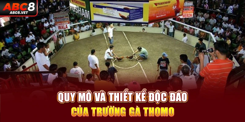 Quy mô và thiết kế độc đáo của trường gà Thomo
