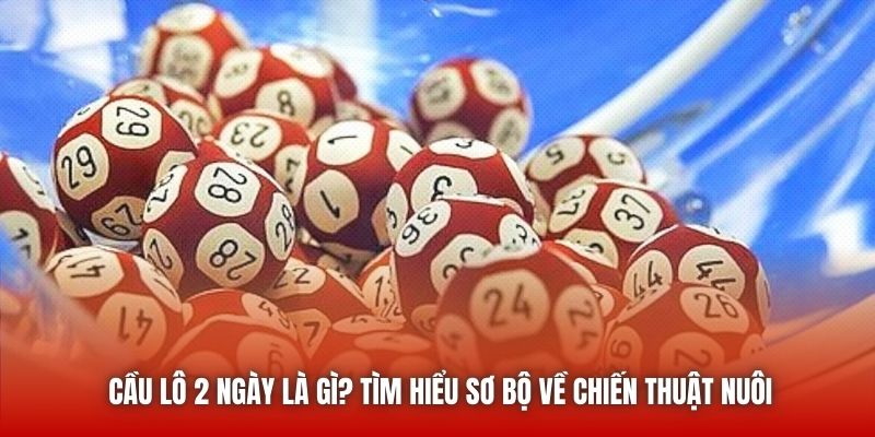 Cầu Lô 2 Ngày Là Gì? Tìm Hiểu Sơ Bộ Về Chiến Thuật Nuôi