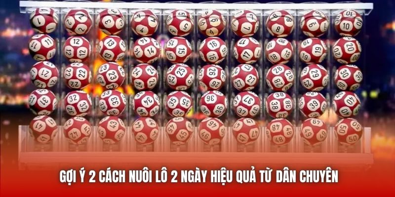 Gợi ý 2 cách nuôi lô 2 ngày hiệu quả từ dân chuyên