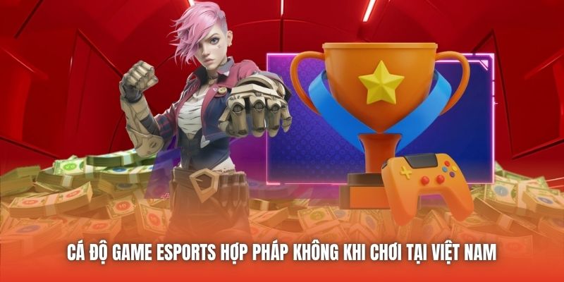 Cá độ game Esports hợp pháp không khi chơi tại Việt Nam 