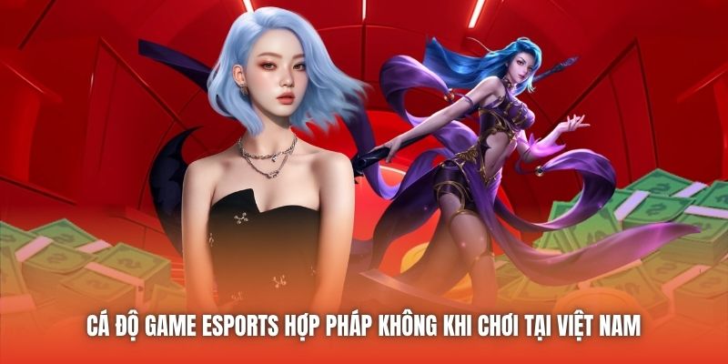 Làm rõ thắc mắc cá độ game Esports hợp pháp không 