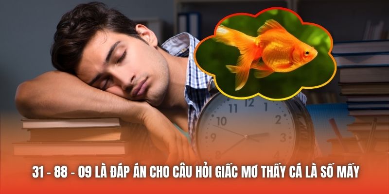 31 - 88 - 09 là đáp án cho câu hỏi giấc mơ thấy cá là số mấy