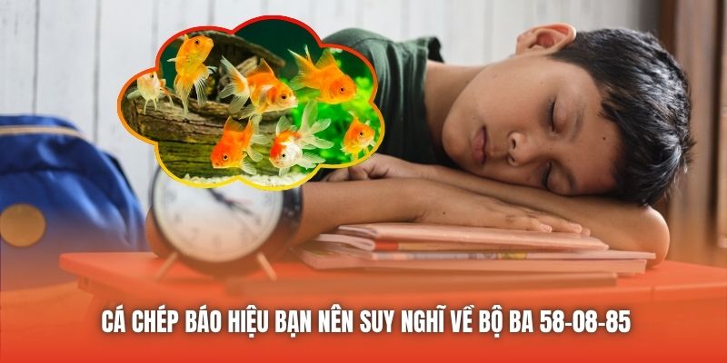 Cá chép báo hiệu bạn nên suy nghĩ về bộ ba 58-08-85