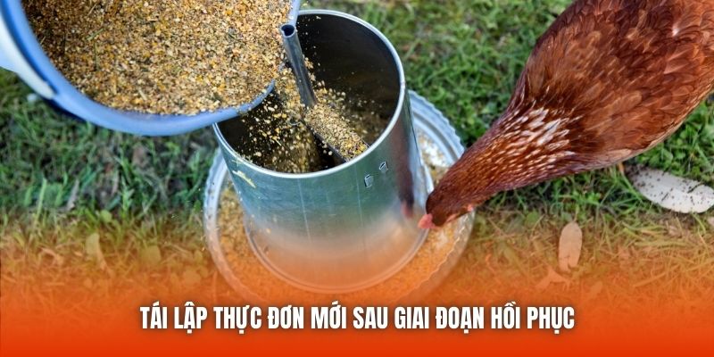 Tái lập thực đơn mới sau giai đoạn hồi phục