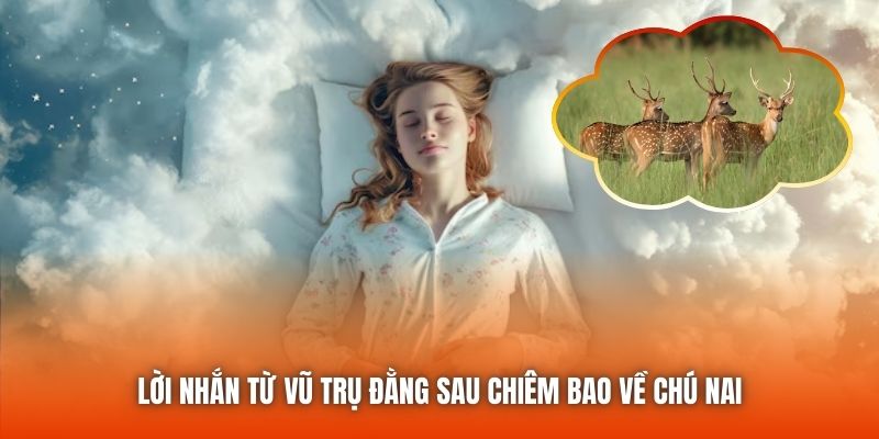 Lời nhắn từ vũ trụ đằng sau chiêm bao về chú nai