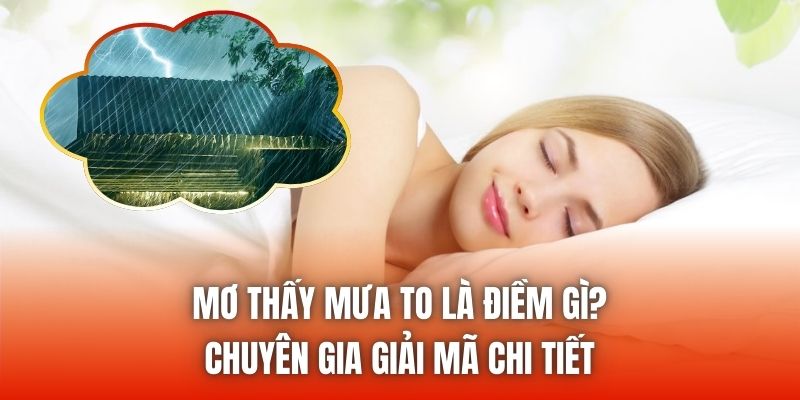 Mơ Thấy Mưa To Là Điềm Gì? Chuyên Gia Giải Mã Chi Tiết