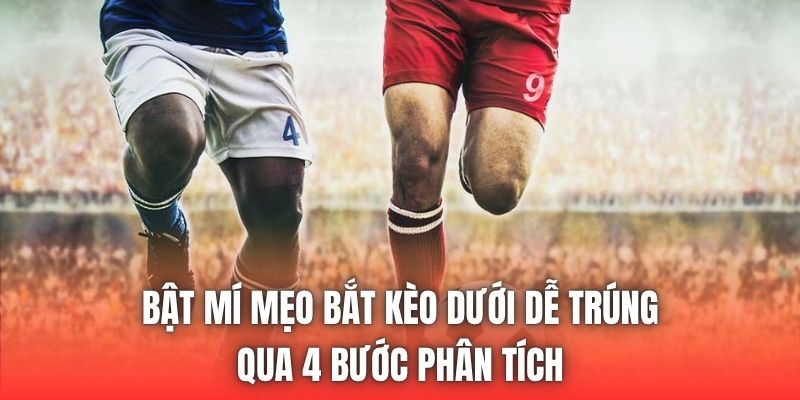 Bật Mí Mẹo Bắt Kèo Dưới Dễ Trúng Qua 4 Bước Phân Tích