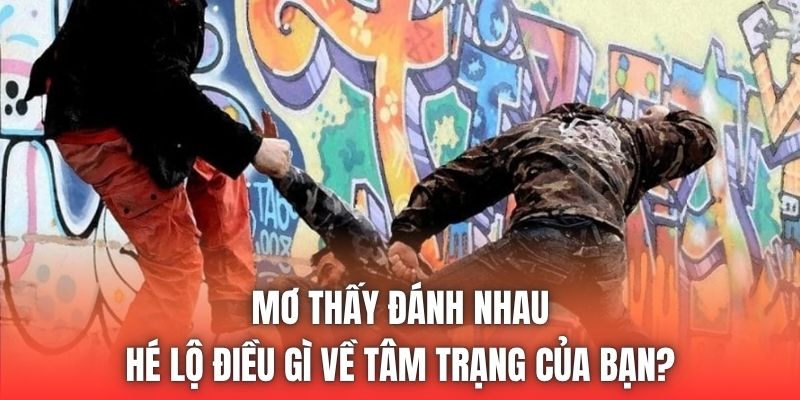 Mơ Thấy Đánh Nhau Hé Lộ Điều Gì Về Tâm Trạng Của Bạn?